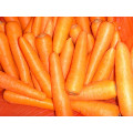 Biolebensmittel-Karotte im besten Qualitätskonkurrenzfähigen Preis